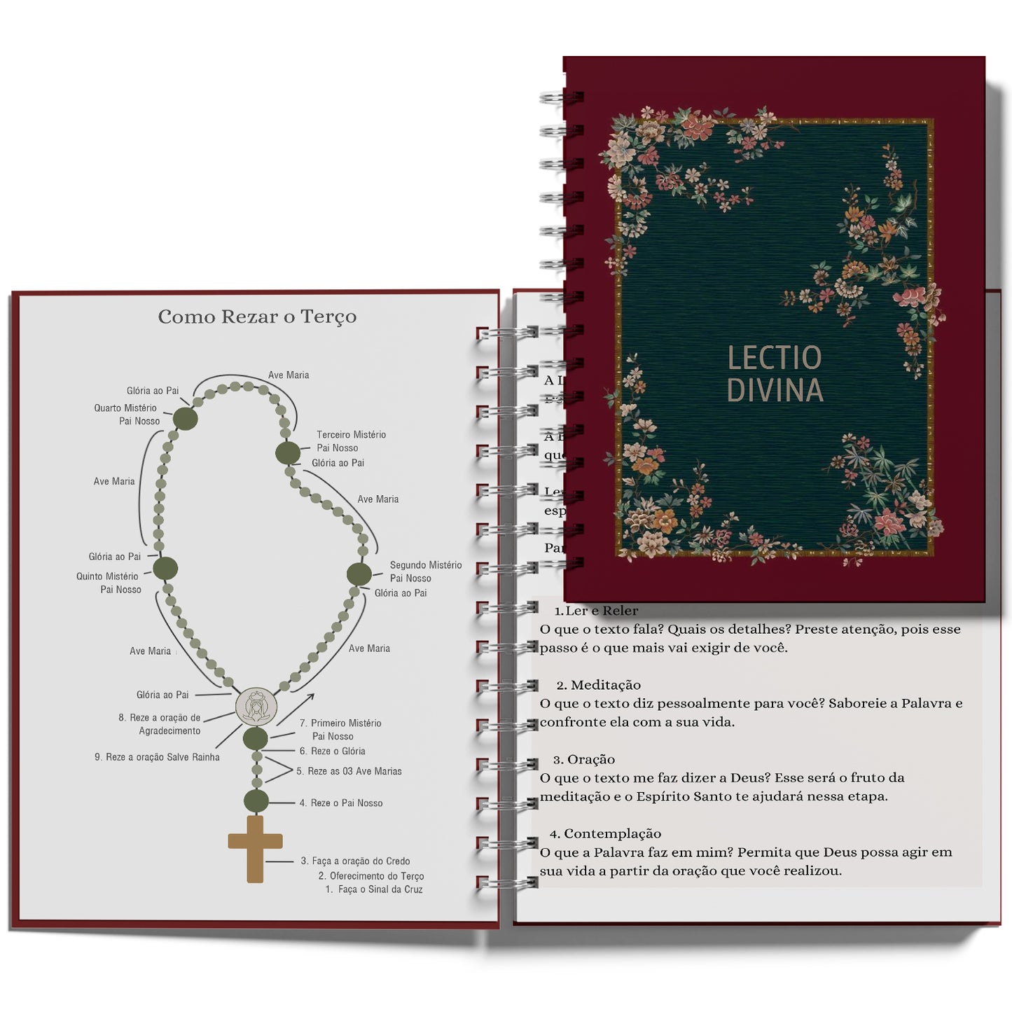 Diário Lectio Divina e Vida de Oração - Lectio Divina Hoje