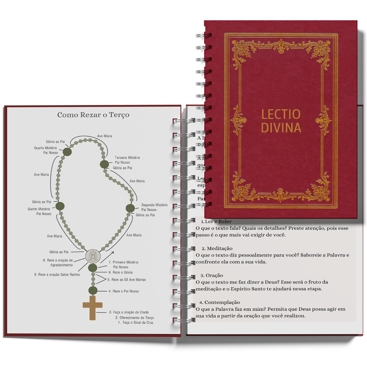 Diário Lectio Divina e Vida de Oração - Lectio Divina Hoje