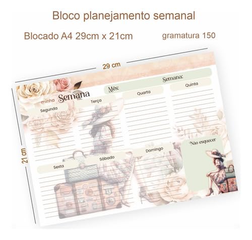 Kit Planner Semanal,diário Com Bloco De Anotações Checklist, planejamento diario