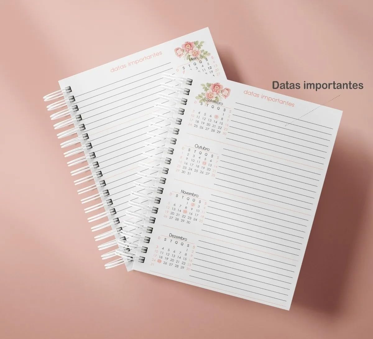 Agenda Cristã 2026 - 1 dia por Página