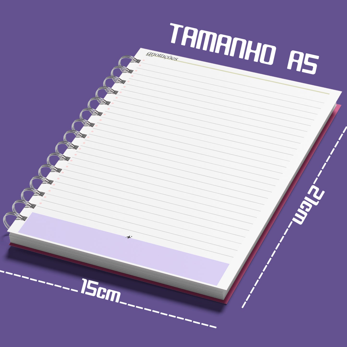 Planner Semanal 2025 Pickup Disc Retro - Planejamento Semanal, Roda da Vida, Finanças, Metas e Inspiração para um Ano Extraordinário