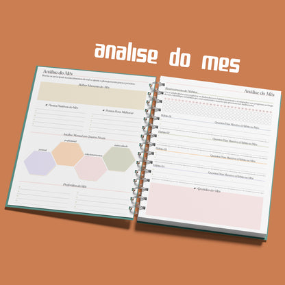 Planner Semanal 2025 Pickup Disc Retro - Planejamento Semanal, Roda da Vida, Finanças, Metas e Inspiração para um Ano Extraordinário