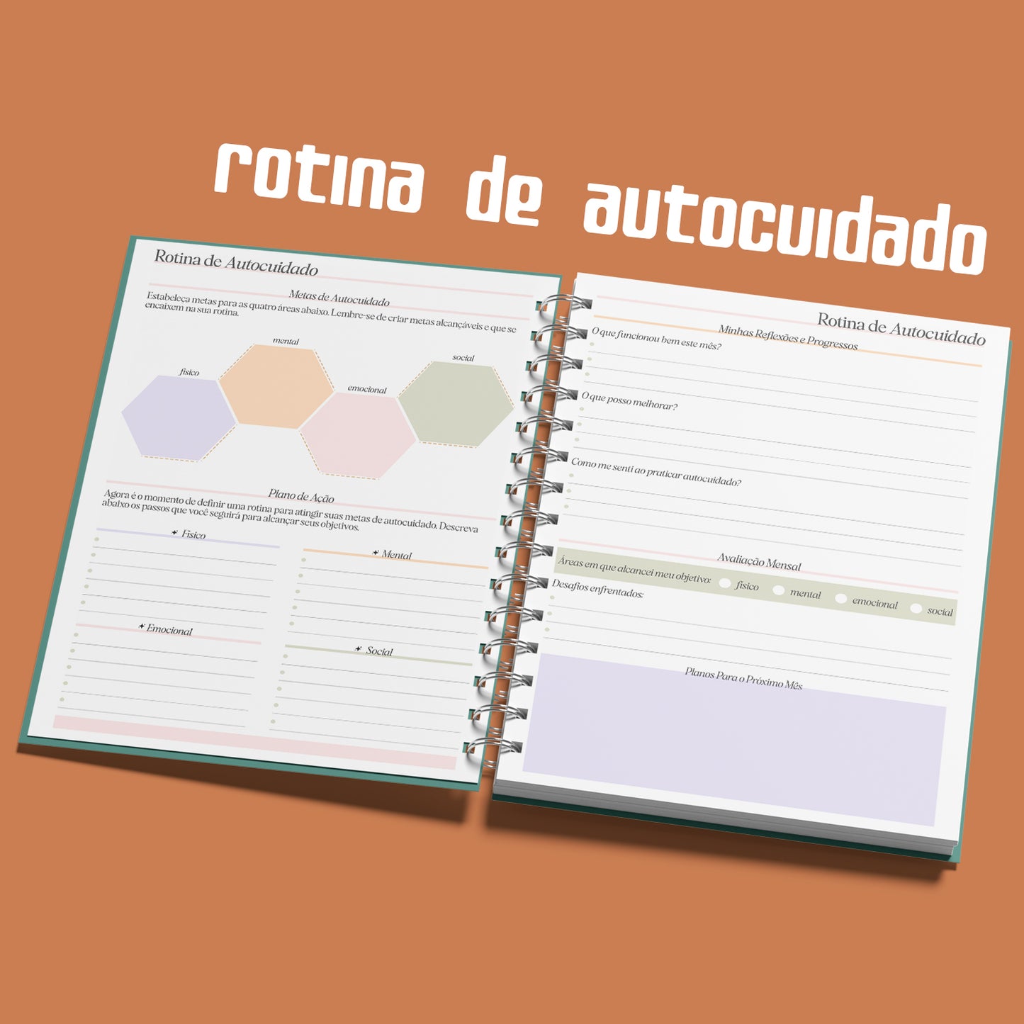 Planner Semanal 2025 Pickup Disc Retro - Planejamento Semanal, Roda da Vida, Finanças, Metas e Inspiração para um Ano Extraordinário