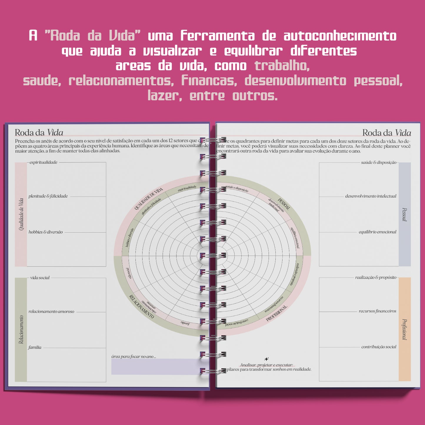 Planner Semanal 2025 Pickup Disc Retro - Planejamento Semanal, Roda da Vida, Finanças, Metas e Inspiração para um Ano Extraordinário