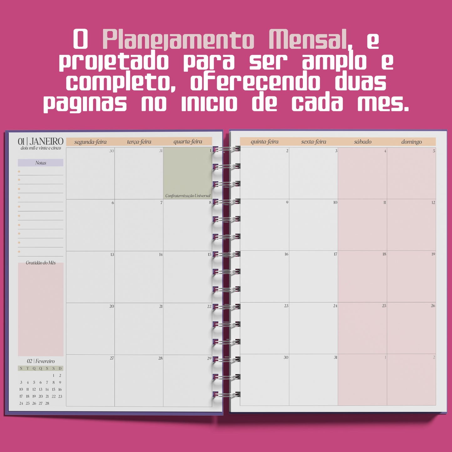 Planner Semanal 2025 Pickup Disc Retro - Planejamento Semanal, Roda da Vida, Finanças, Metas e Inspiração para um Ano Extraordinário