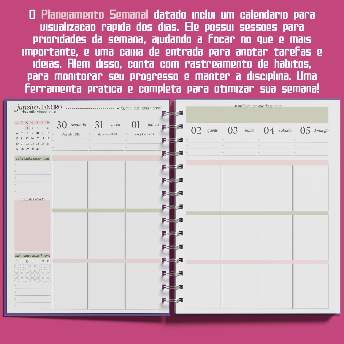 Planner Semanal 2025 Pickup Disc Retro - Planejamento Semanal, Roda da Vida, Finanças, Metas e Inspiração para um Ano Extraordinário